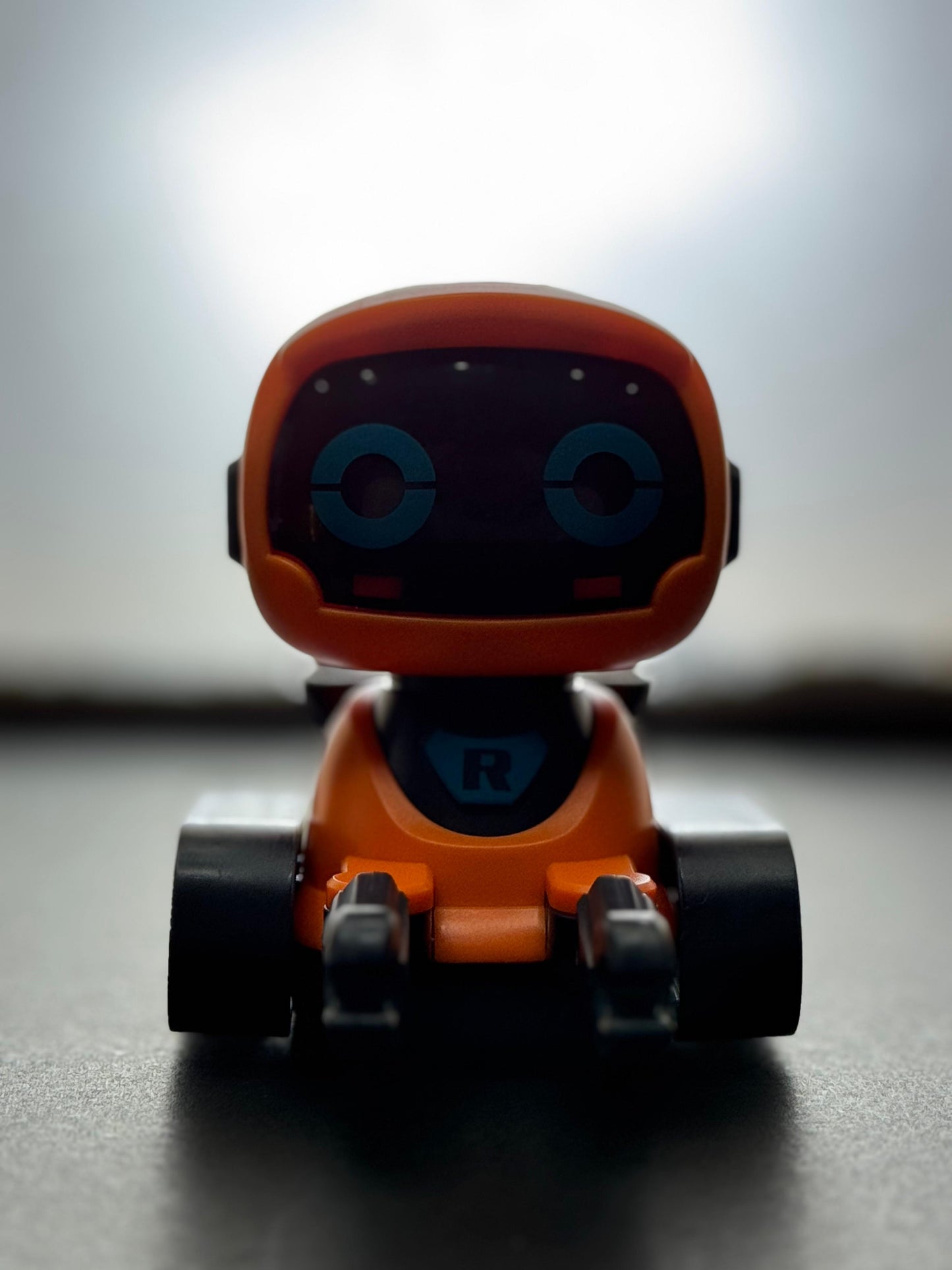 RoboBuddy: The Line-Following Adventure Bot